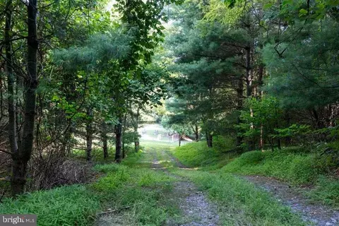 Pine Grove Rd, Stanley, VA 22851 photo 10