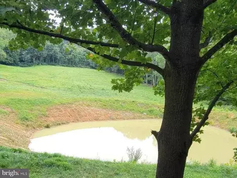 Pine Grove Rd, Stanley, VA 22851 photo 54