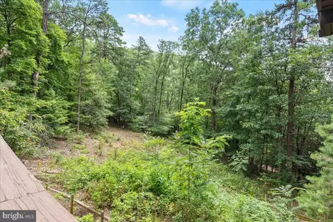 225 Buzzard View Pl, Shenandoah, VA 22849 photo 45