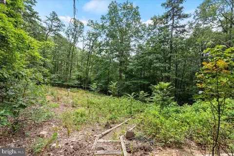 225 Buzzard View Pl, Shenandoah, VA 22849 photo 48