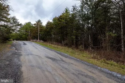 Forest Dr, Stanley, VA 22851 photo 14