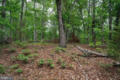N View Dr, Stanley, VA 22851 photo 25