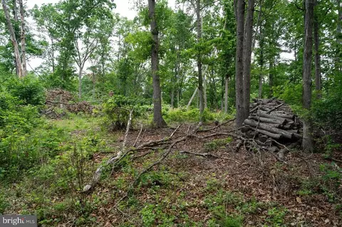 N View Dr, Stanley, VA 22851 photo 29