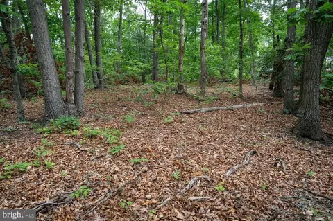 N View Dr, Stanley, VA 22851 photo 5