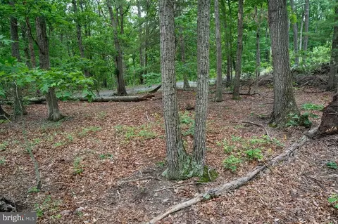 N View Dr, Stanley, VA 22851 photo 27