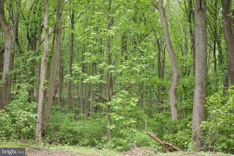 Friendly Ln, Stanley, VA 22851 photo 6