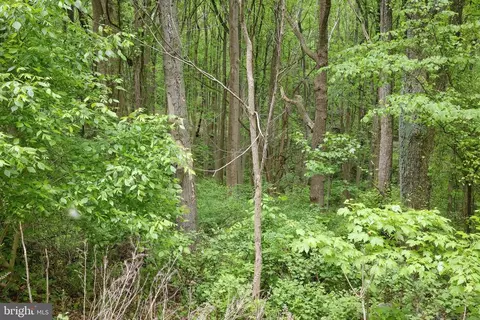 Friendly Ln, Stanley, VA 22851 photo 3