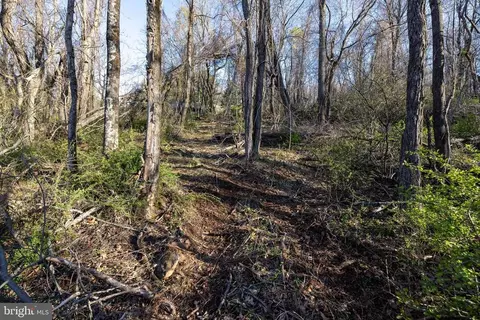 Cherry Tree Ln, Stanley, VA 22851 photo 33
