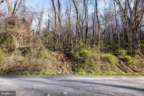 Cherry Tree Ln, Stanley, VA 22851 photo 32