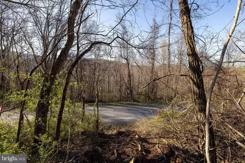 Cherry Tree Ln, Stanley, VA 22851 photo 35