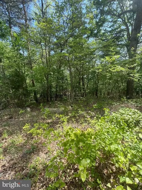 427 Long View Dr, Luray, VA 22835