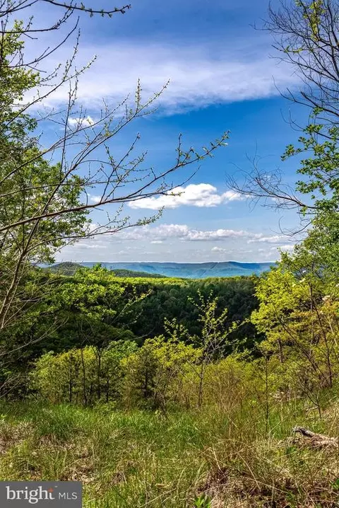 1797 Cubbage Hollow Rd, Stanley, VA 22851 photo 69