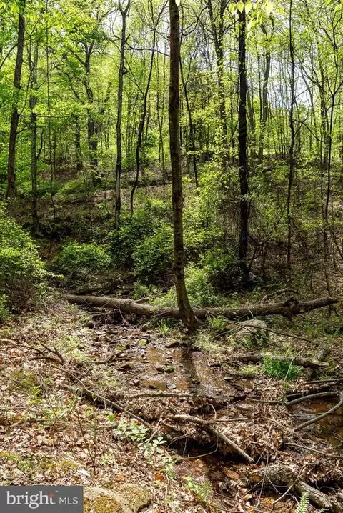 1797 Cubbage Hollow Rd, Stanley, VA 22851 photo 58