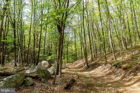 1797 Cubbage Hollow Rd, Stanley, VA 22851 photo 65