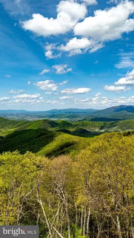 1797 Cubbage Hollow Rd, Stanley, VA 22851 photo 54