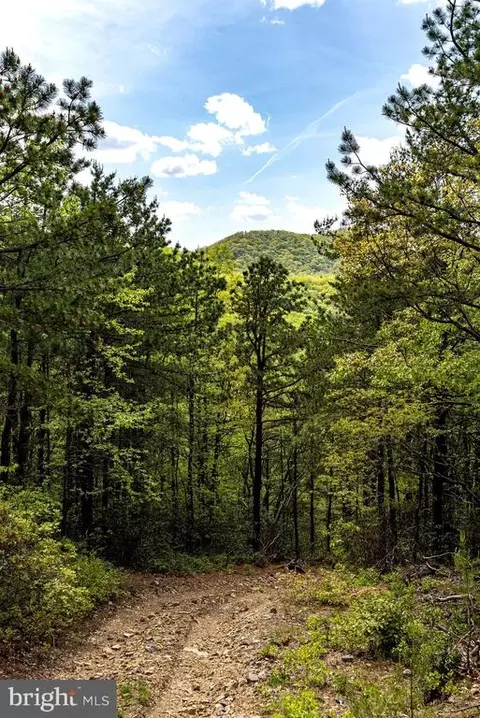 1797 Cubbage Hollow Rd, Stanley, VA 22851 photo 61