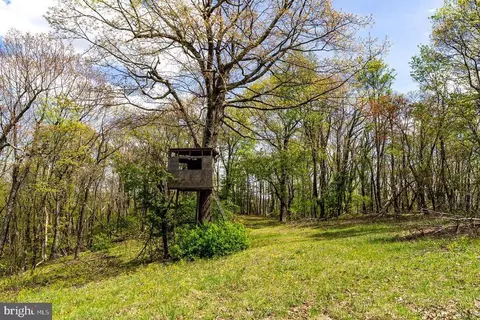 1797 Cubbage Hollow Rd, Stanley, VA 22851 photo 70