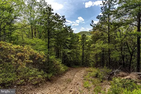 1797 Cubbage Hollow Rd, Stanley, VA 22851 photo 59
