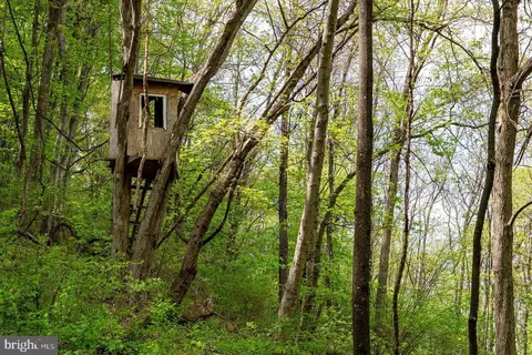 1797 Cubbage Hollow Rd, Stanley, VA 22851 photo 63