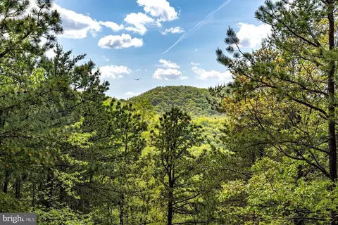 1797 Cubbage Hollow Rd, Stanley, VA 22851 photo 60