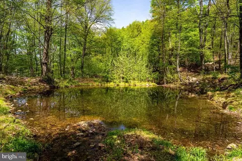 1797 Cubbage Hollow Rd, Stanley, VA 22851 photo 56