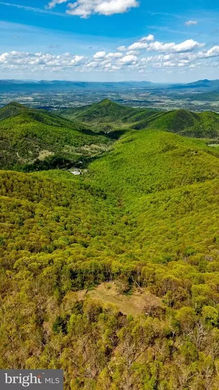 1797 Cubbage Hollow Rd, Stanley, VA 22851 photo 43