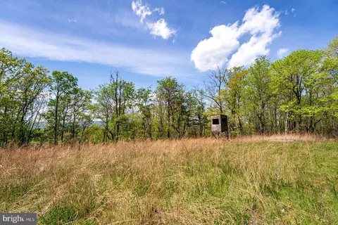 1797 Cubbage Hollow Rd, Stanley, VA 22851 photo 66