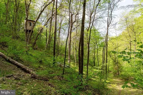 1797 Cubbage Hollow Rd, Stanley, VA 22851 photo 62
