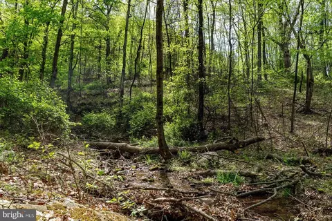 1797 Cubbage Hollow Rd, Stanley, VA 22851 photo 57