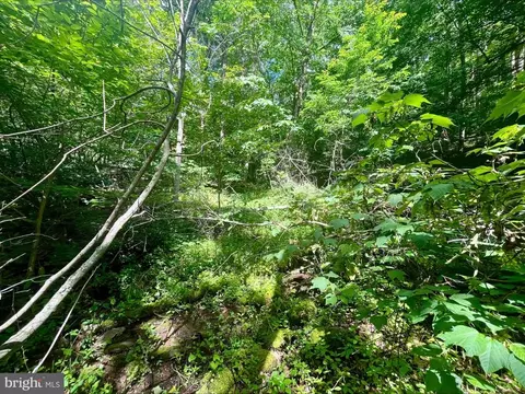Paris Rd, Stanley, VA 22851 photo 11