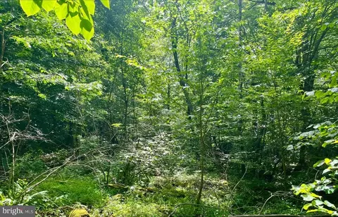 Paris Rd, Stanley, VA 22851 photo 15
