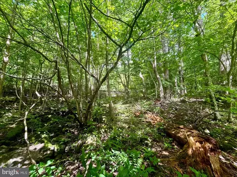 Paris Rd, Stanley, VA 22851 photo 14
