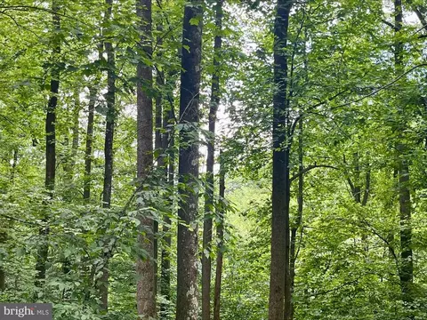 Paris Rd, Stanley, VA 22851 photo 16
