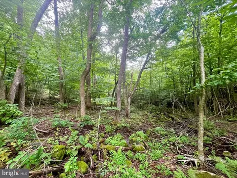 Paris Rd, Stanley, VA 22851 photo 5