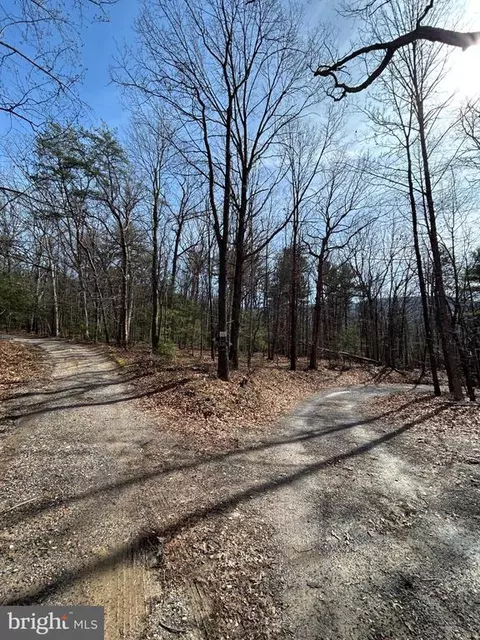 301 Abbotts Ln, Rileyville, VA 22650