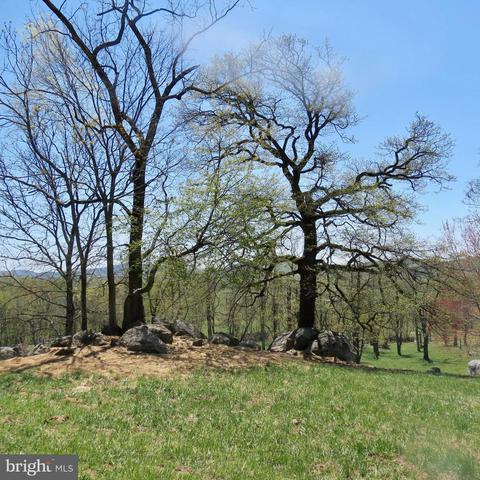 218 Rediviva Ln, Washington, VA photo 4