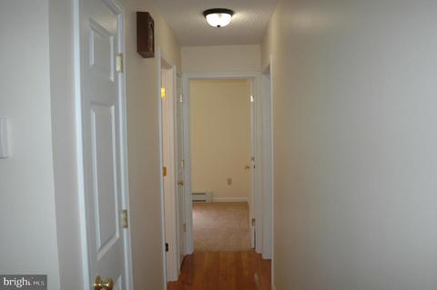 104 Mill Hill Rd, Huntly, VA 22640 photo 19