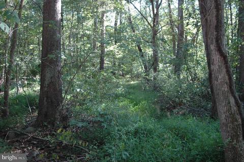 104 Mill Hill Rd, Huntly, VA 22640 photo 30