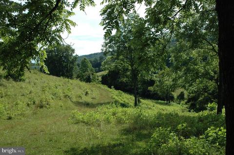 444 Scrabble Rd, Castleton, VA 22716 photo 23