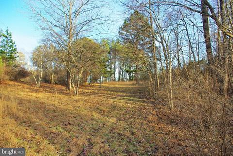 11 Gaschs Ln, Castleton, VA 22716 photo 28