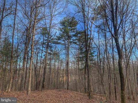 95 Castle Mountain Rd, Castleton, VA 22716 photo 2