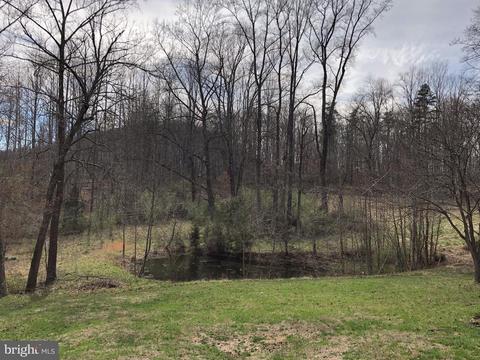 882 Scrabble Rd, Castleton, VA 22716 photo 6
