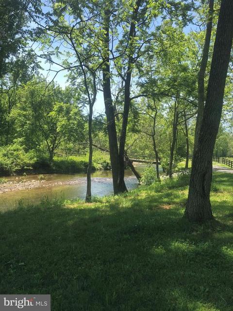 3288 Slate Mills Rd, Sperryville, VA 22740 photo 43