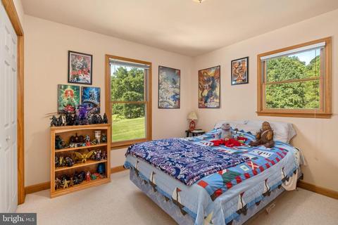 265 Castleton View Rd, Castleton, VA 22716 photo 21