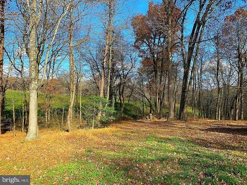 12233 Grindstone Rd, Boston, VA 22713 photo 26