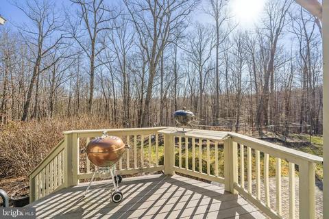 446 Round Hill Rd, Boston, VA 22713 photo 37