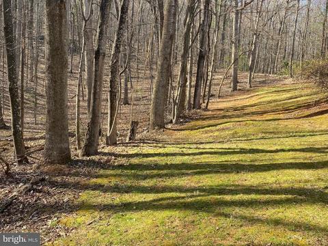 41 Comptons Rd, Castleton, VA 22716 photo 25