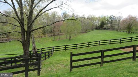 9587 Obannons Mill Rd, Boston, VA 22713 photo 68