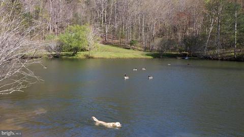 9587 Obannons Mill Rd, Boston, VA 22713 photo 62