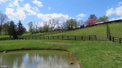 9587 Obannons Mill Rd, Boston, VA 22713 photo 64